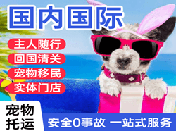 长治王村航空货运国际宠物托运 【国